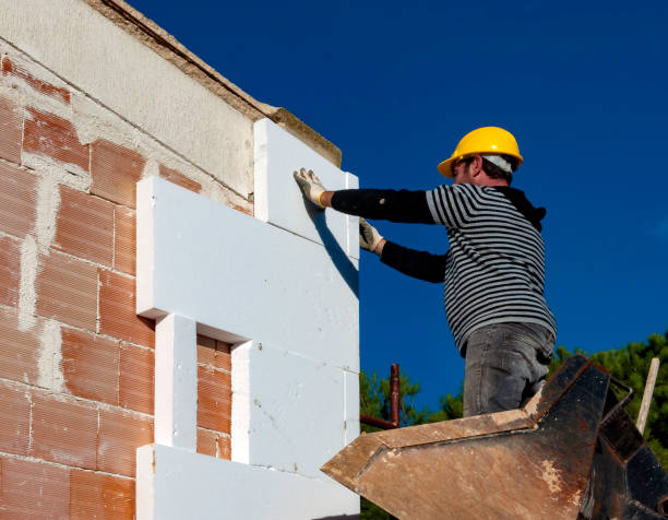 Best Geographic-Specific Insulation Services in Denham Springs, LA