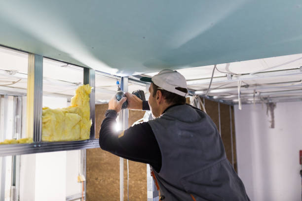 Best Insulation Maintenance and Repair in Denham Springs, LA