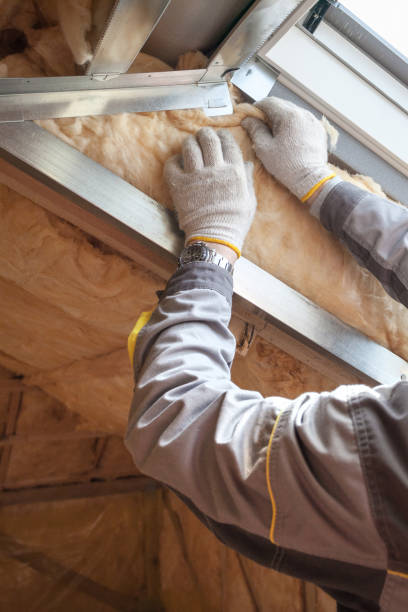 Types of Insulation We Offer in Denham Springs, LA