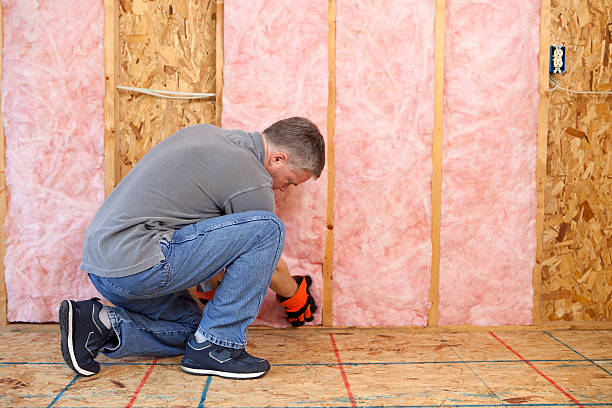 Best Cellulose Insulation in Denham Springs, LA